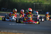 Massimo dante and maranello kart on top of the italian kz2 standings