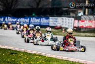Sgrace/maranello kart put in a great show at the andrea margutti trophy. strong podium for dante 